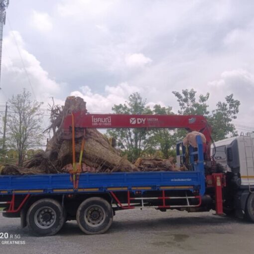 เช่ารถเครนคันนายาว