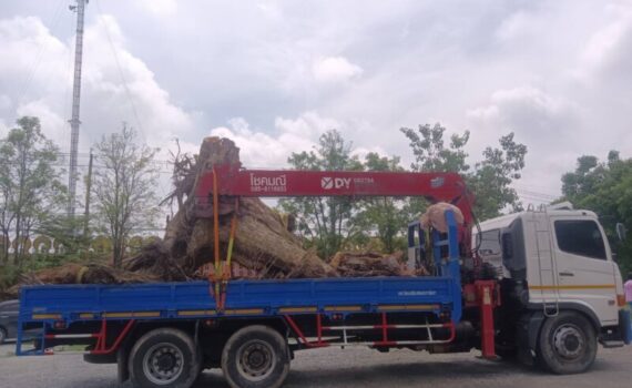 เช่ารถเครนคันนายาว