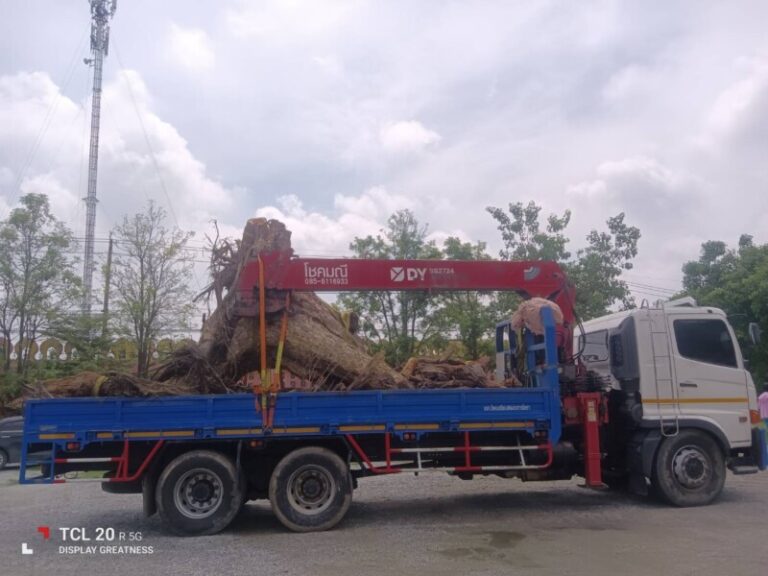 เช่ารถเครนคันนายาว